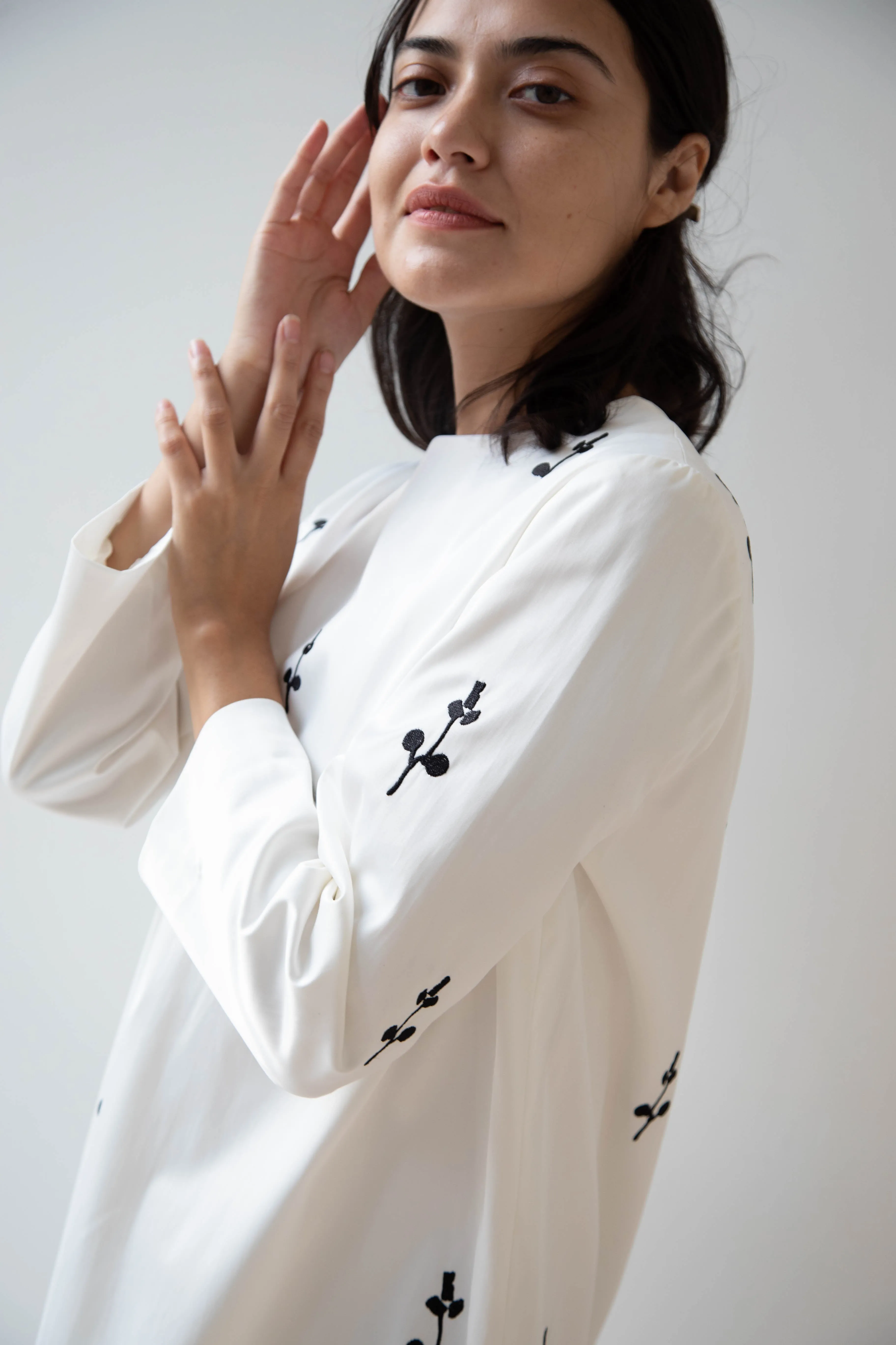Delegan | Ivory Dress with Embroidery