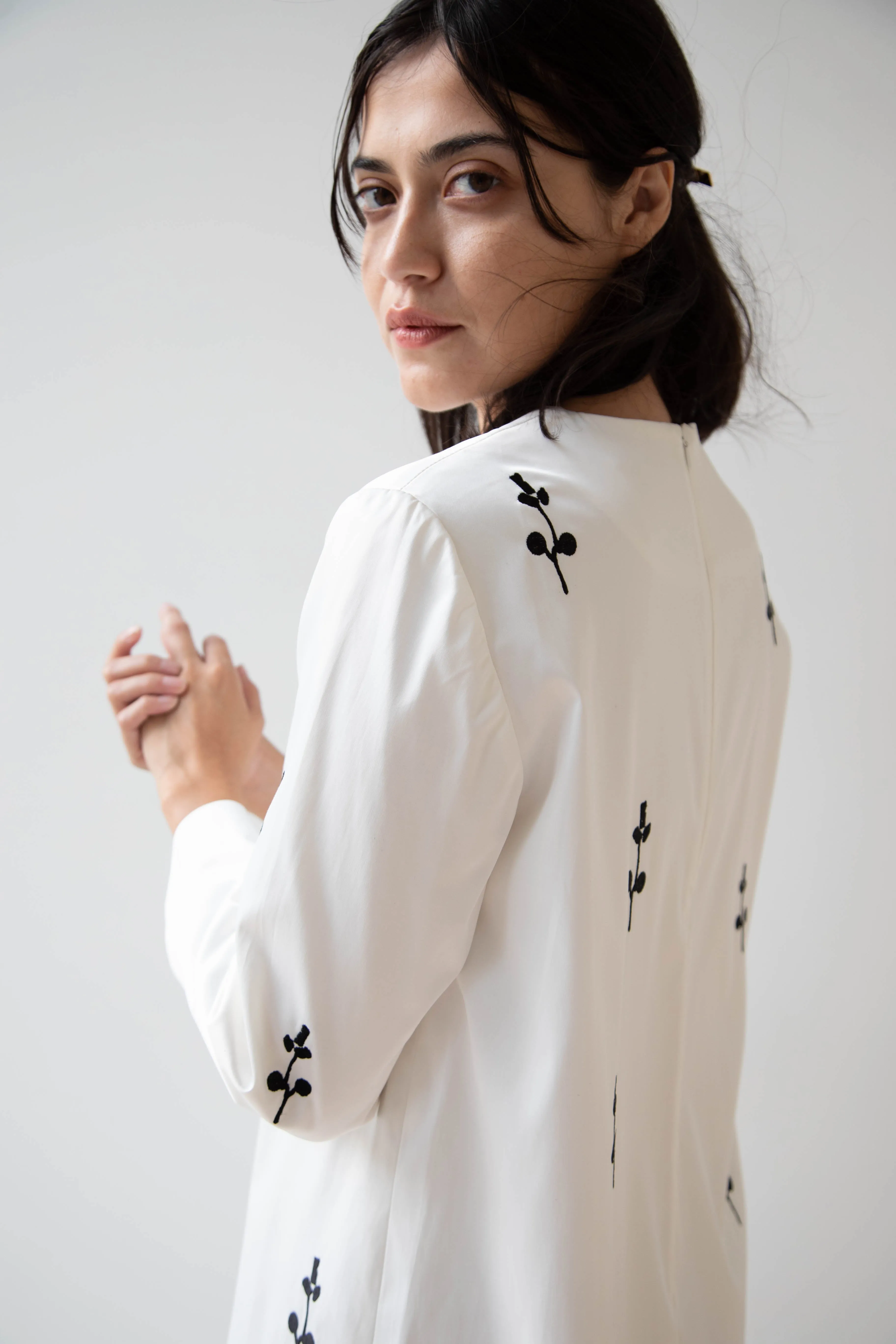 Delegan | Ivory Dress with Embroidery