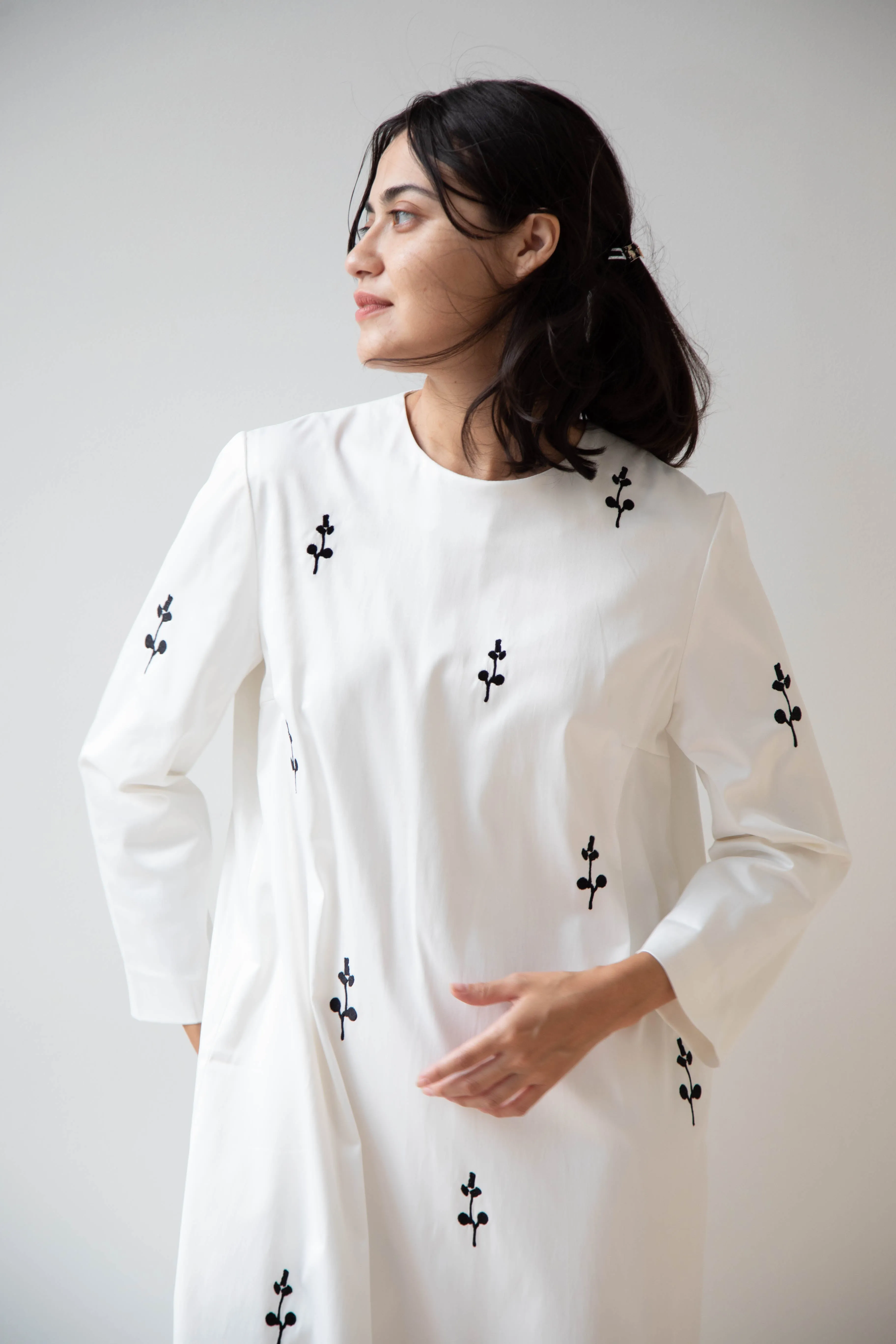Delegan | Ivory Dress with Embroidery