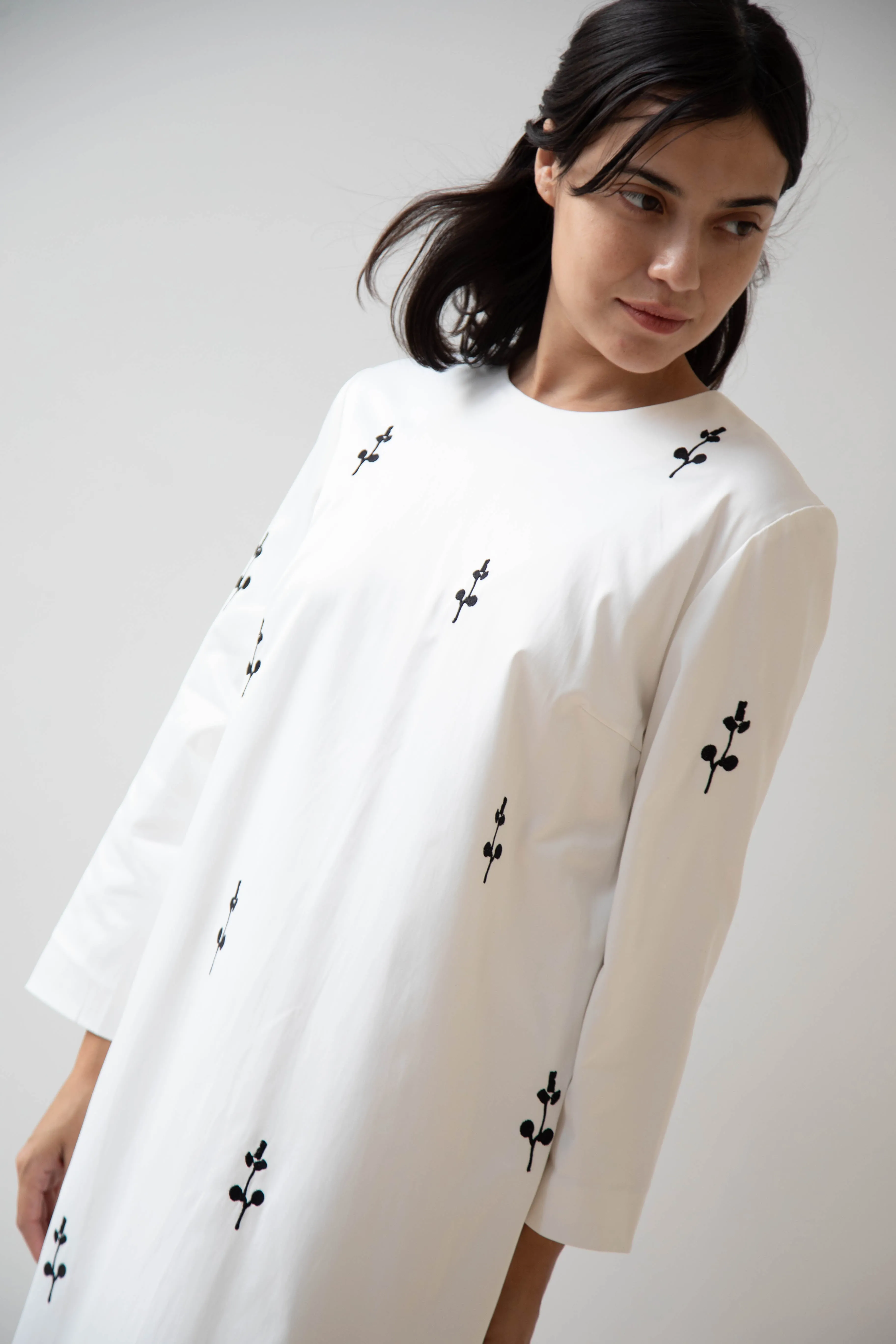 Delegan | Ivory Dress with Embroidery