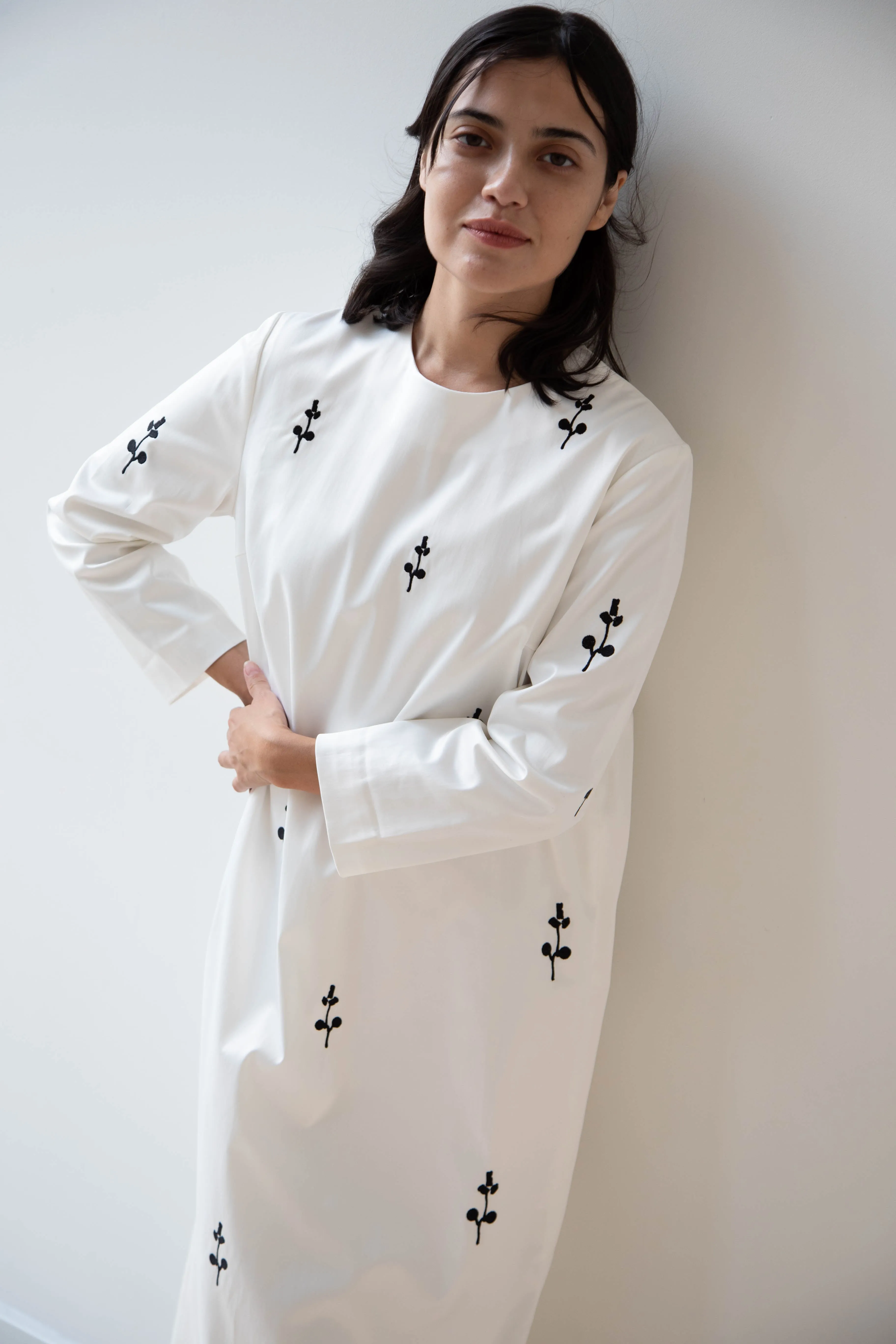 Delegan | Ivory Dress with Embroidery