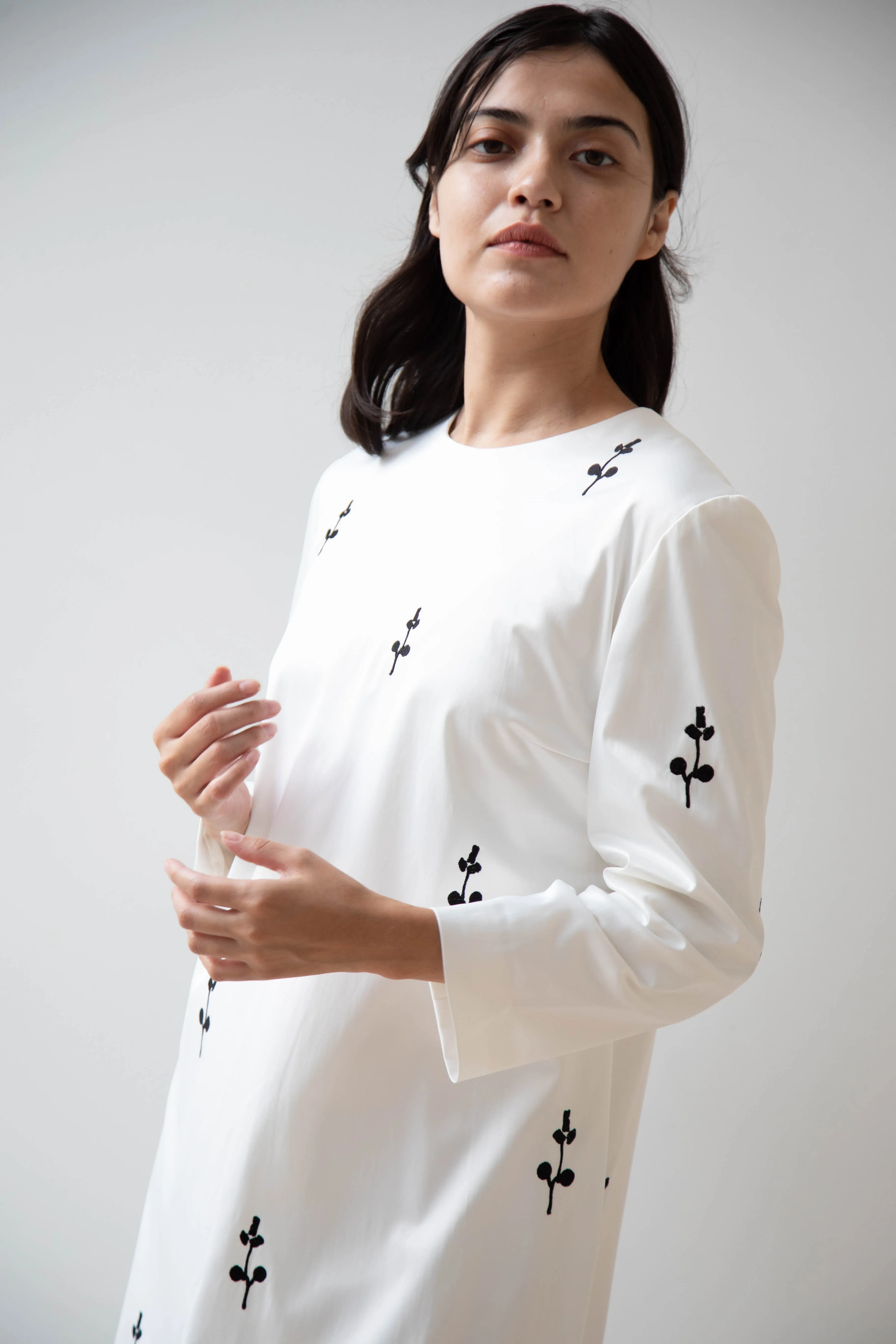 Delegan | Ivory Dress with Embroidery