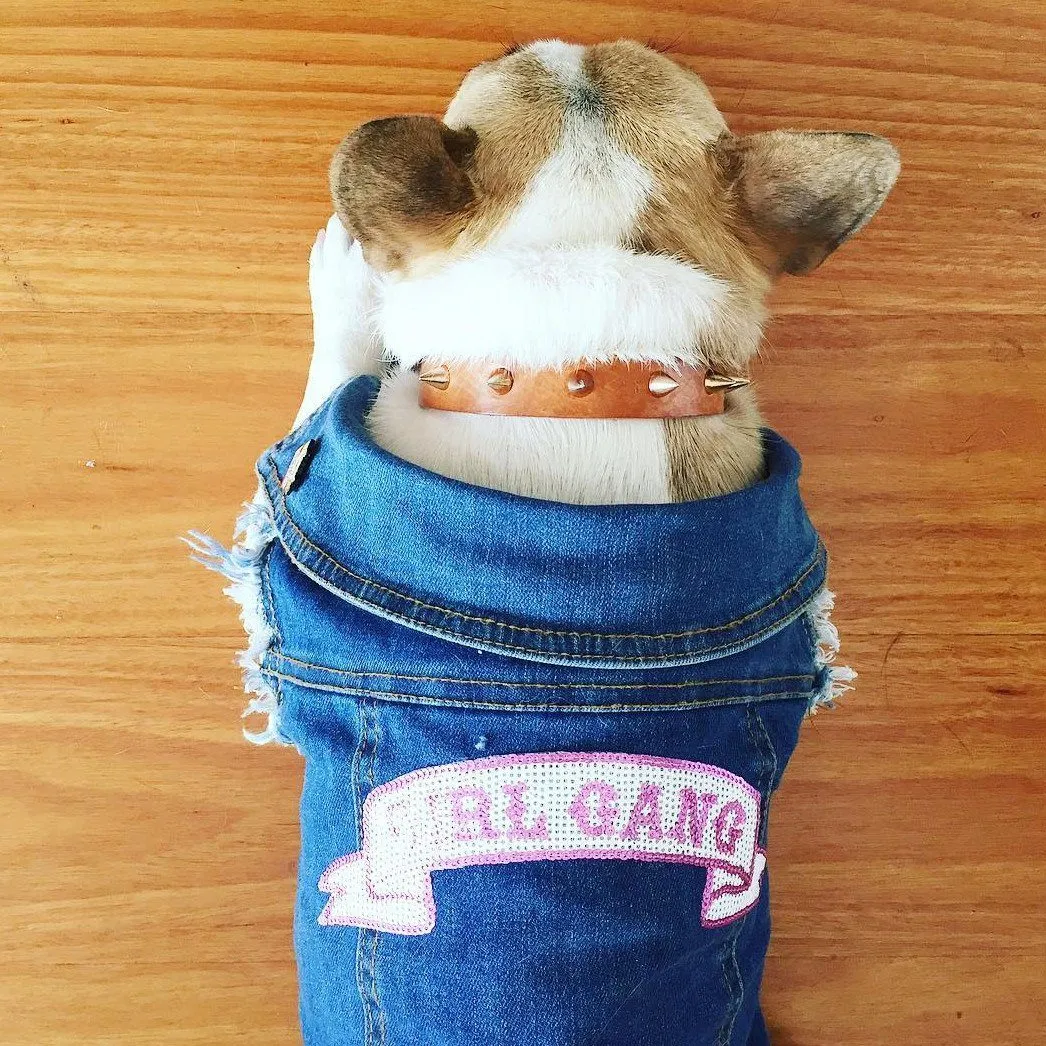 Denim Dog Vest - Girl Gang Patch
