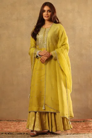Embroidered Dusty Lime Green Silk Cotton Sharara Set