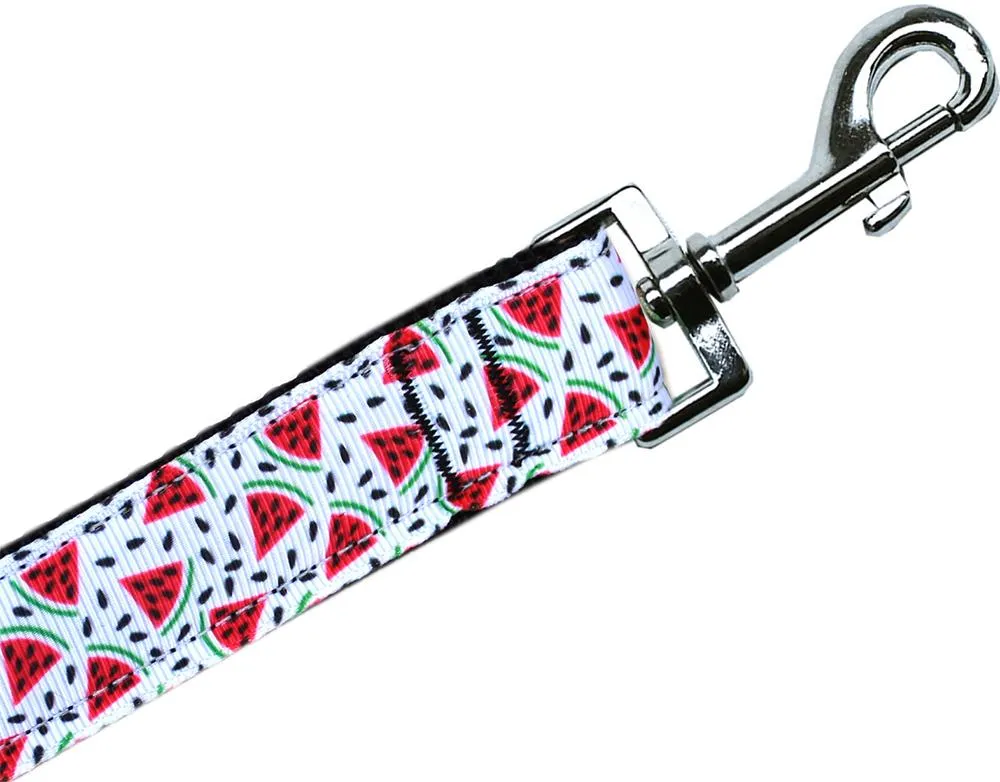 Watermelon Nylon Pet Leash 3-8in By 4ft
